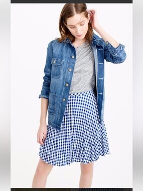 J. Crew Blue and White Gingham Skater Skirt